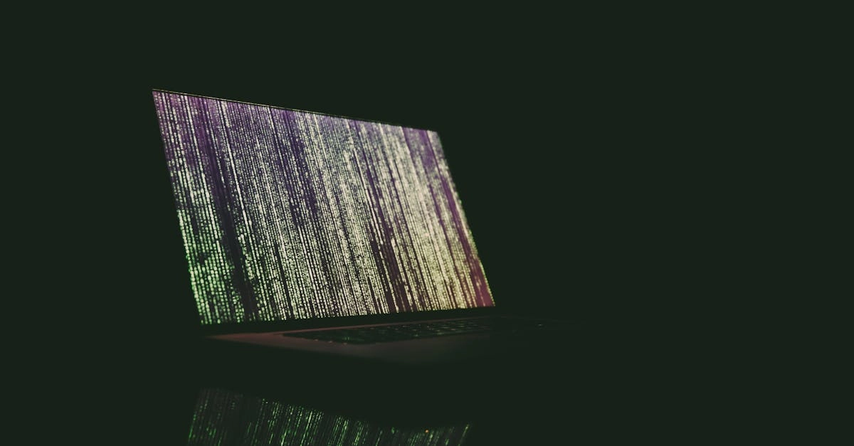 Технический анализ программ лояльности казино без депозита