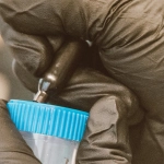 Техническая спецификация игрового слота Cleocatra